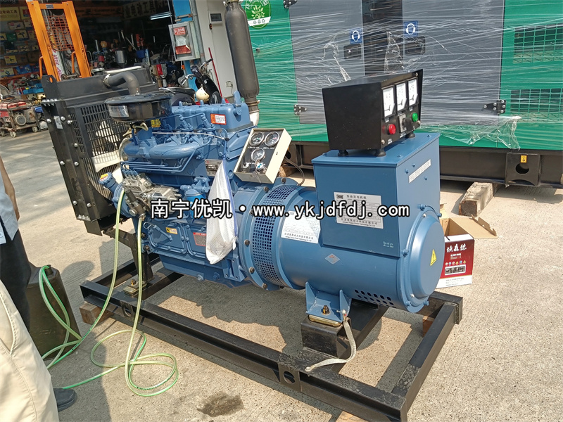 2024年4月1日，客戶到店自提30KW濰坊雷納柴油發(fā)電機組