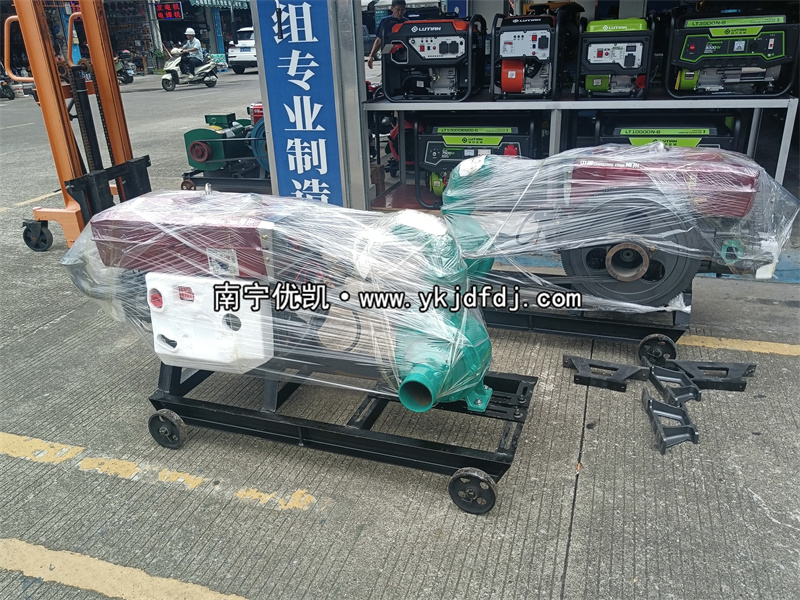 2024年7月30日，國外項(xiàng)目出口兩臺4寸柴油水泵機(jī)組及4臺清水泵